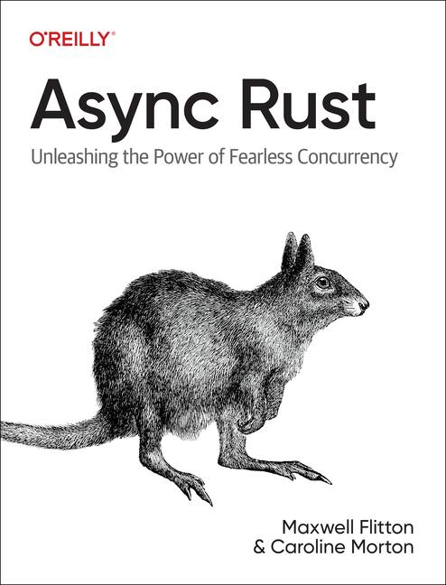 Livre ASYNC Rust Caroline Morton