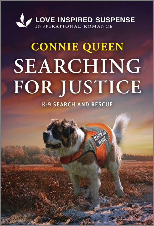 Buch Searching for Justice 