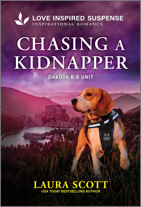 Βιβλίο Chasing a Kidnapper 