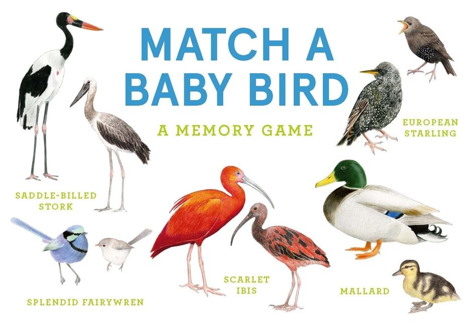 Gioco/giocattolo Bird Vision Unwin