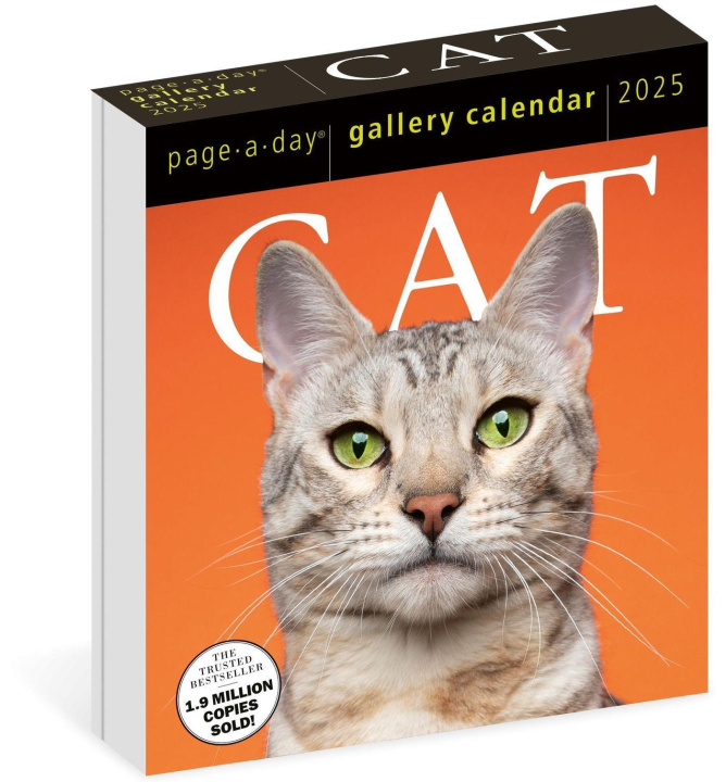 Kalendar/Rokovnik Cat Page-A-Day® Gallery Calendar 2025 