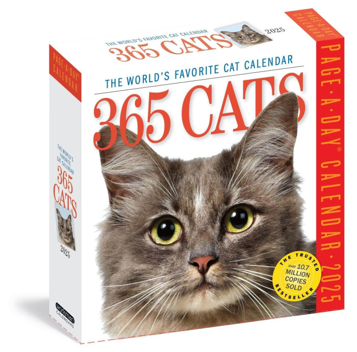 Kalender/Terminbuch 365 Cats Page-A-Day® Calendar 2025 