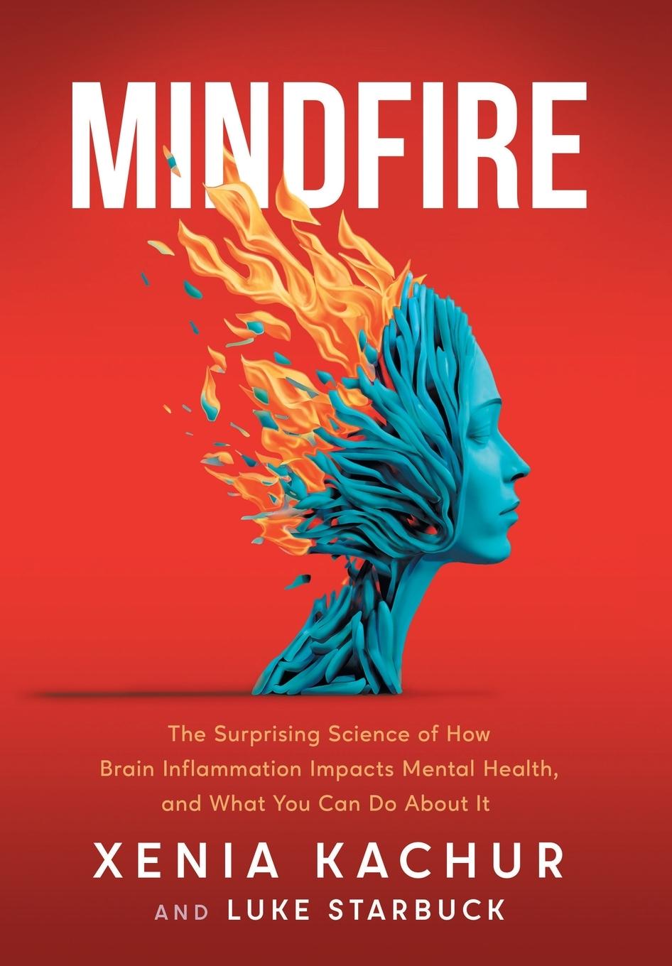 Knjiga Mindfire Luke Starbuck