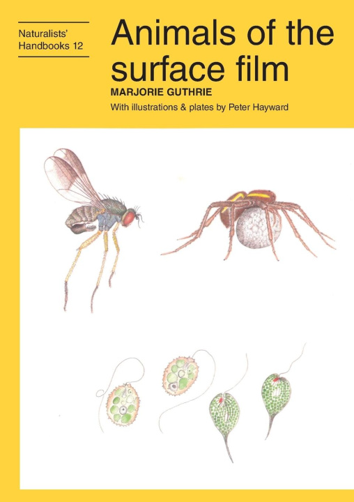 Libro Animals of the surface film Marjorie Guthrie