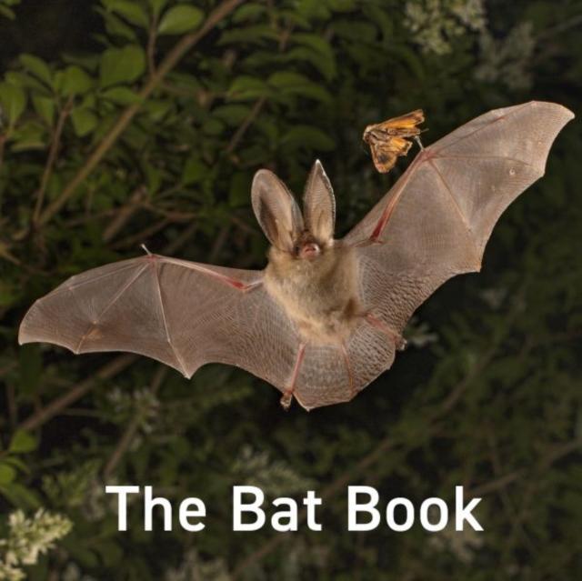 Boek The Bat Book Hugh Warwick
