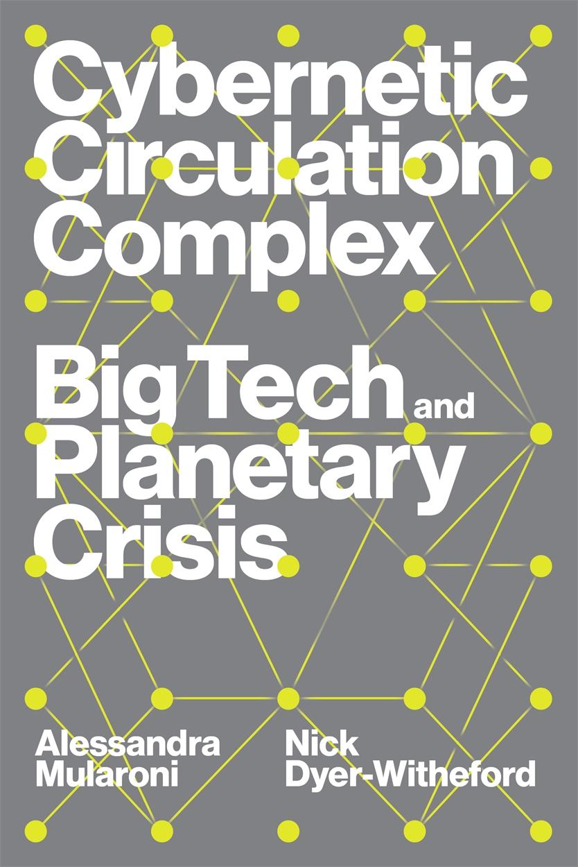 Kniha Cybernetic Circulation Complex Alessandra Mularoni