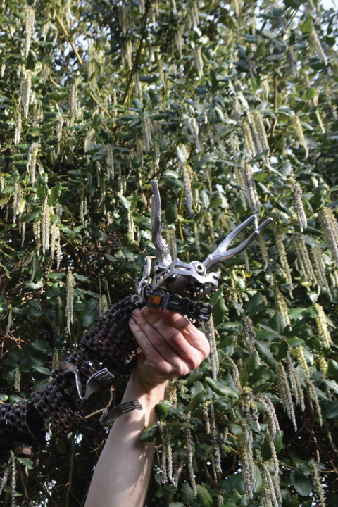 Knjiga volume I blaze d marlinspike