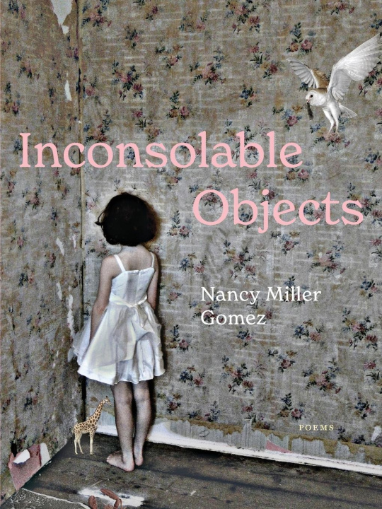 Buch Inconsolable Objects Nancy Miller Gomez