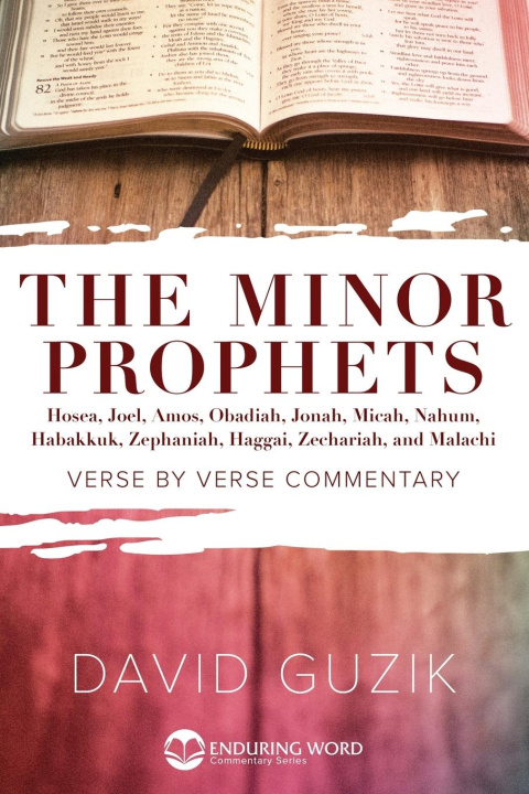 Book Minor Prophets David Guzik