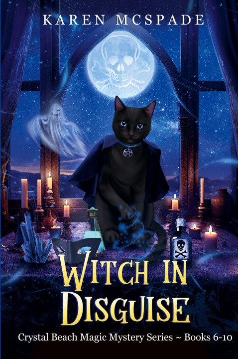 Buch Witch In Disguise Karen McSpade