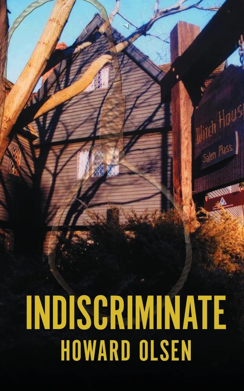 Buch Indiscriminate Howard Olsen