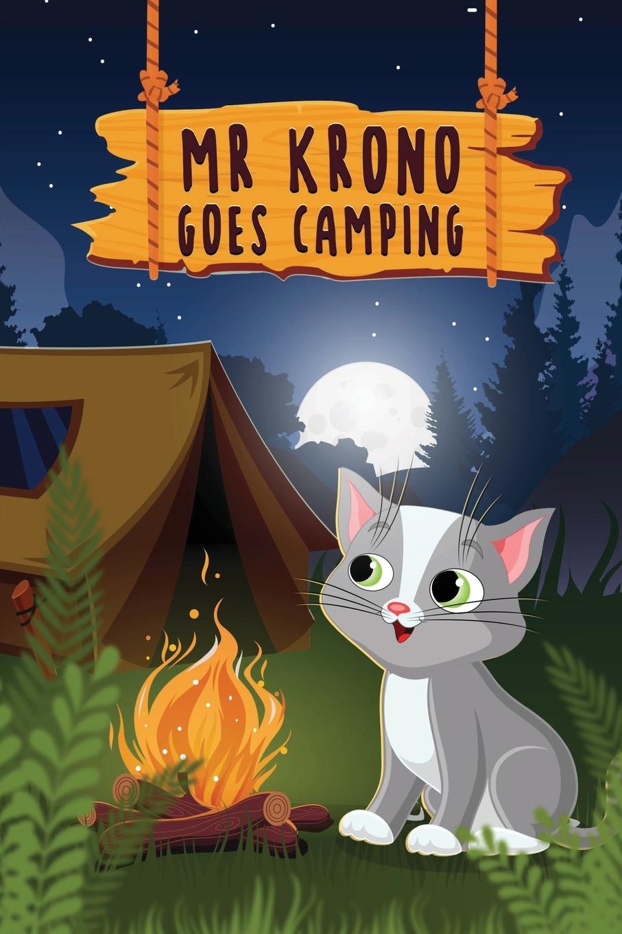Buch MR KRONO GOES CAMPING Elisa Struth