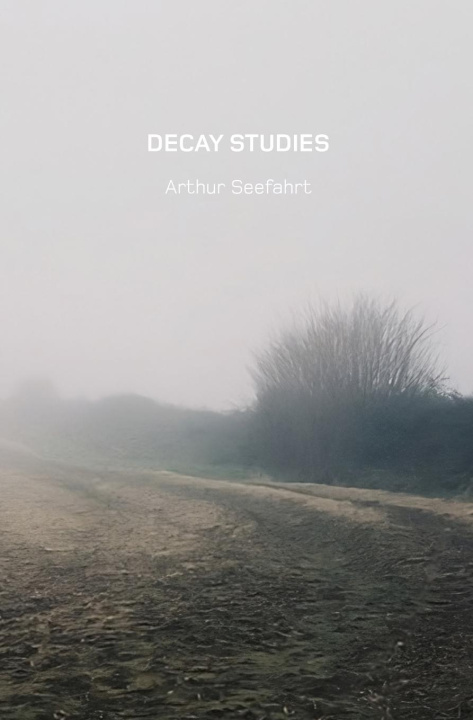 Knjiga Decay Studies U.S. Edition Arthur Seefahrt