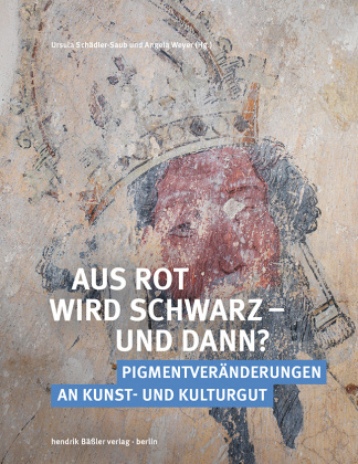 Knjiga Aus Rot wird Schwarz - und dann? Ursula Schädler-Saub