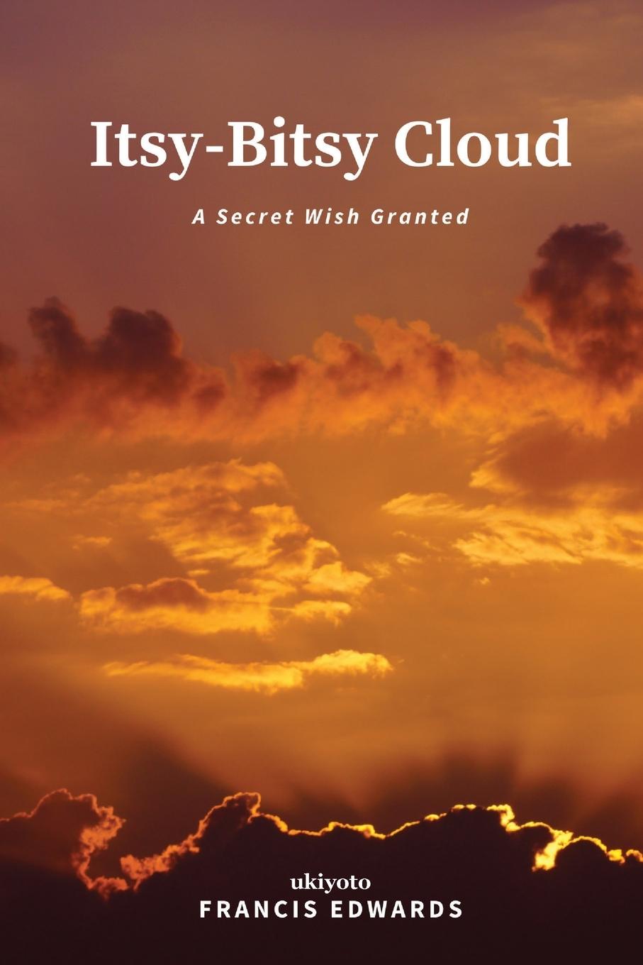 Knjiga Itsy-Bitsy Cloud Francis Edwards