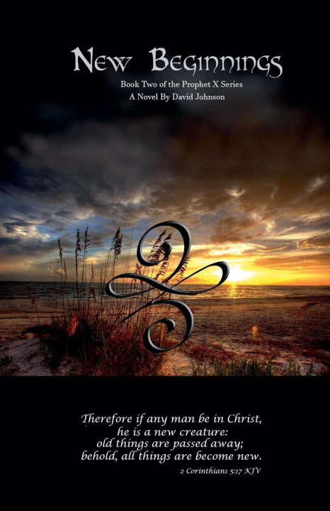 Buch New Beginnings - Book 2 David Johnson