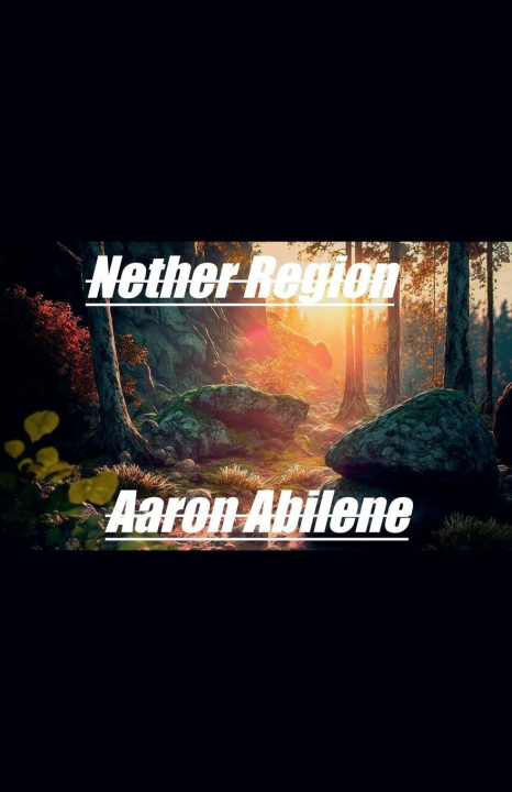 Knjiga Nether Region Aaron Abilene
