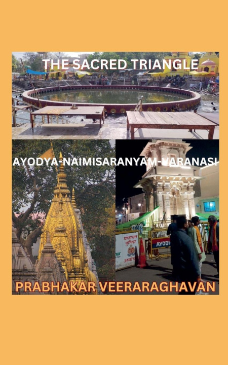 Knjiga The Secret Triangle Prabhakar Veeraraghavan