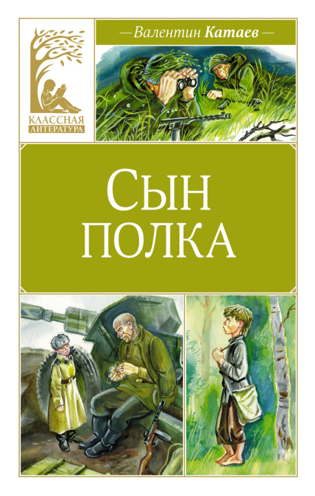 Buch Сын полка Валентин Катаев