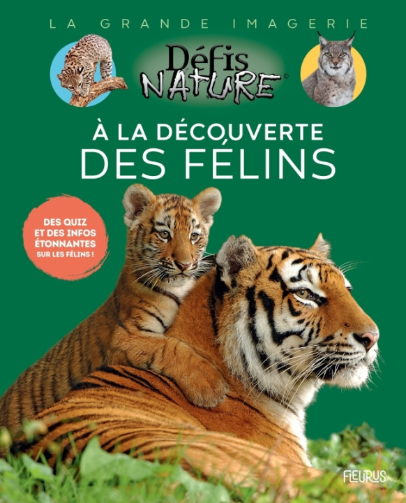 Kniha À la découverte des félins 