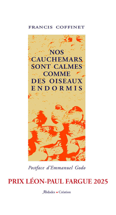 Libro Nos cauchemars sont calmes comme des oiseaux endormis COFFINET