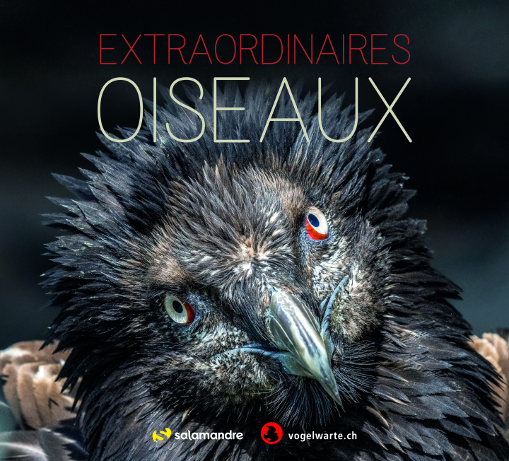Knjiga Extraordinaires oiseaux 
