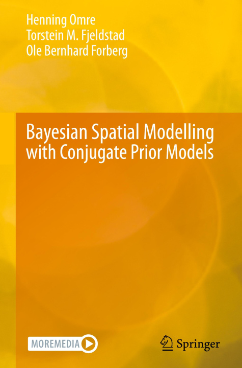 Knjiga Bayesian Spatial Modelling with Conjugate Prior Models Henning Omre