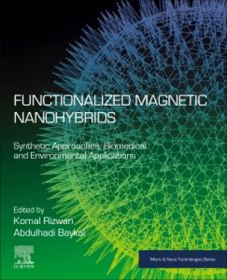 Knjiga Functionalized Magnetic Nanohybrids Komal Rizwan
