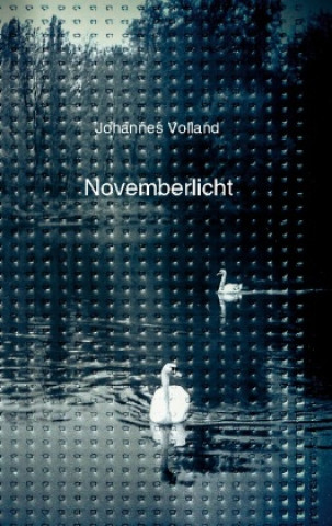 Kniha Novemberlicht Johannes Volland