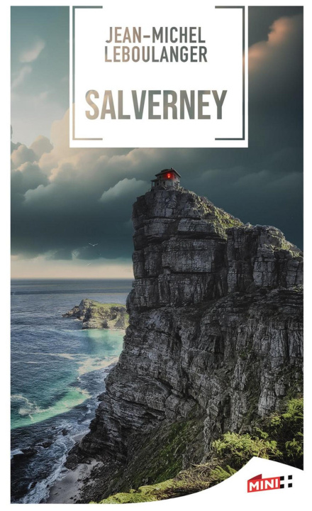Kniha Salverney Leboulanger