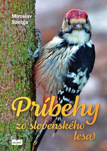 Buch Príbehy zo slovenského lesa 