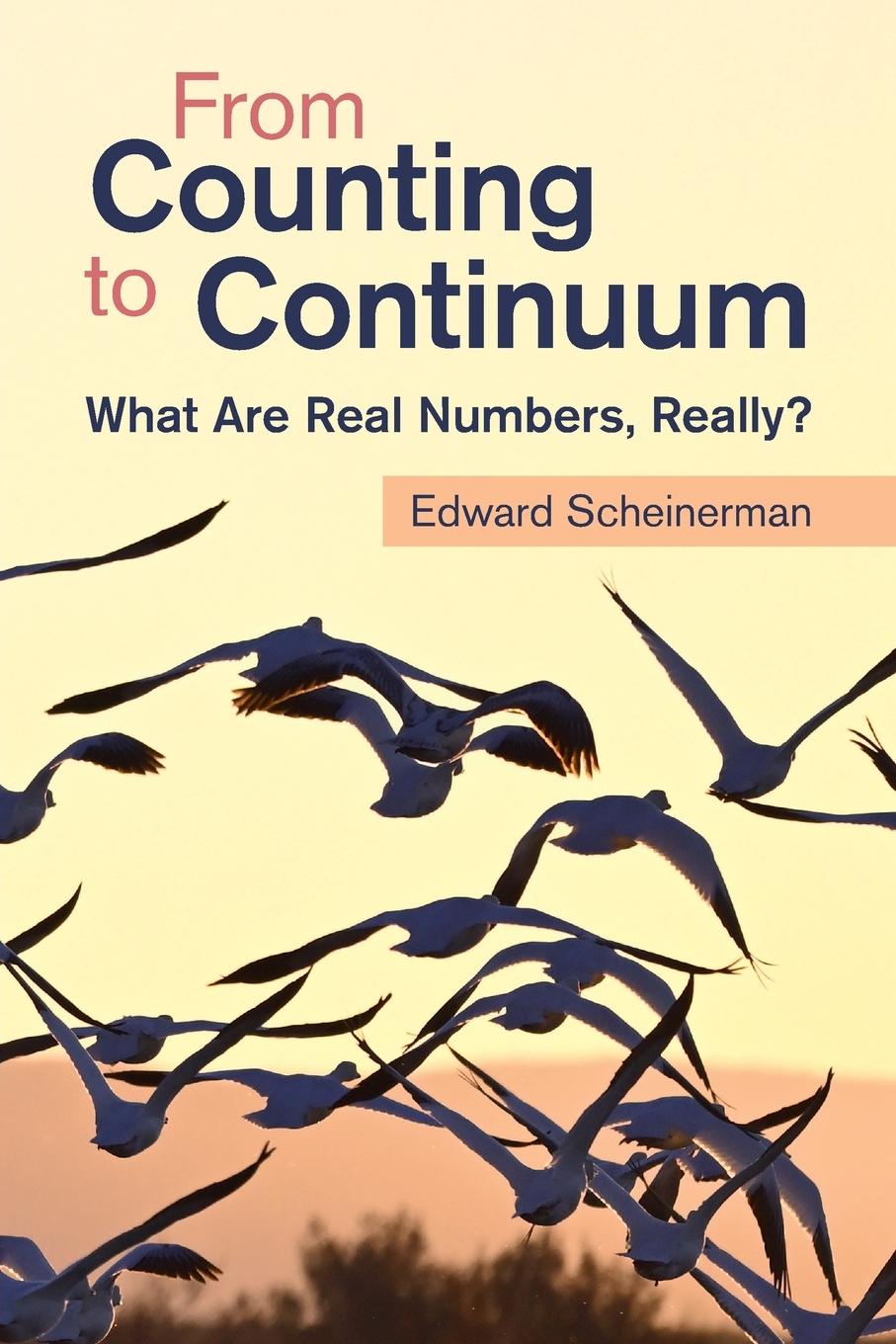 Kniha From Counting to Continuum Edward Scheinerman