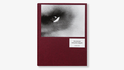Boek Des Oiseaux - version anglaise Sebastião Salgado