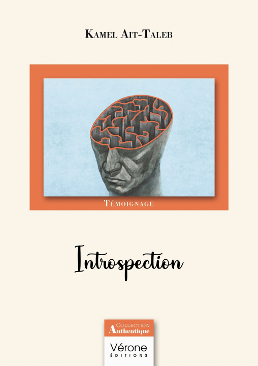 Knjiga Introspection Kamel AIT-TALEB