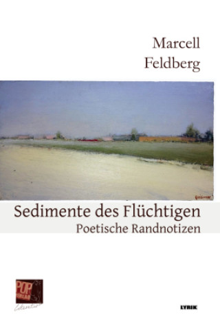 Book Sedimente des Flüchtigen Marcell Feldberg