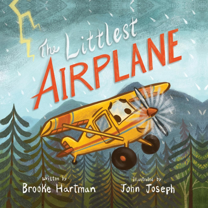 Książka The Littlest Airplane Hartman
