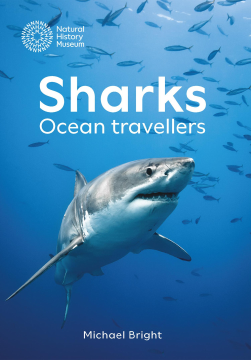 Boek Sharks Michael Bright