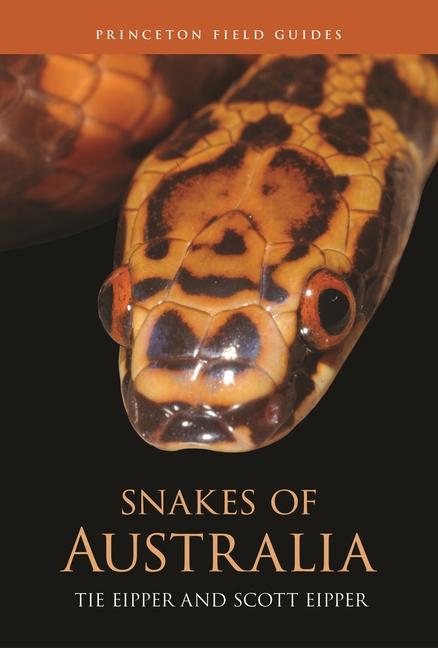 Kniha Snakes of Australia Scott Eipper