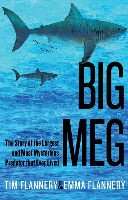 Book Big Meg Emma Flannery