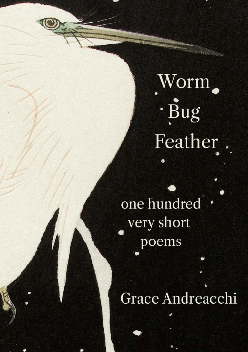 Knjiga Worm Bug Feather Grace Andreacchi