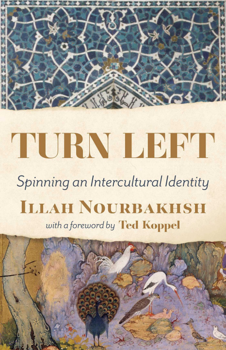 Knjiga Turn Left Illah Nourbakhsh