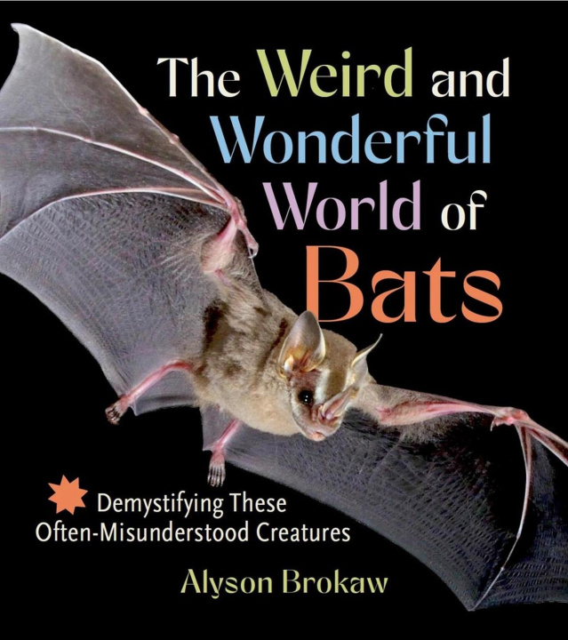 Kniha The Weird and Wonderful World of Bats 