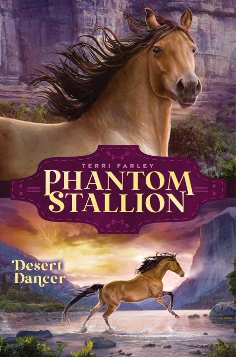 Boek Desert Dancer Farley