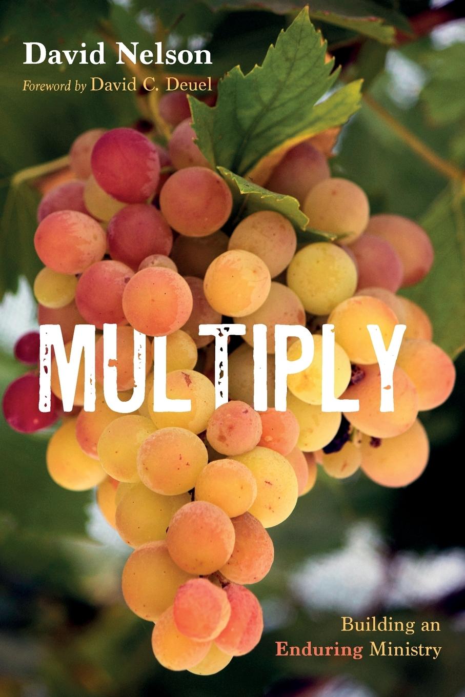 Knjiga Multiply David Nelson