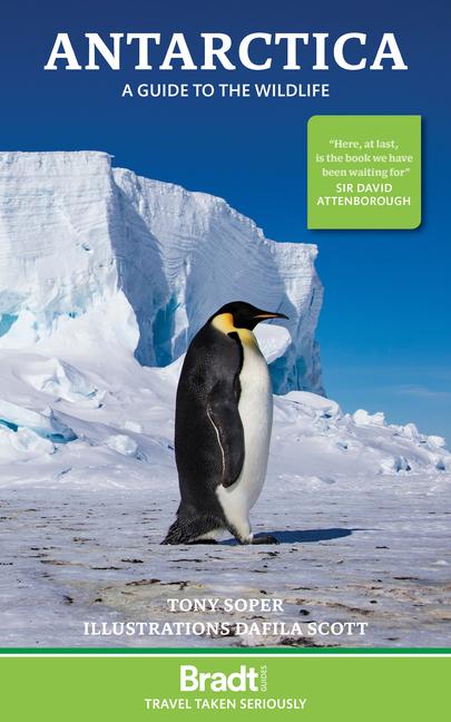 Buch Antarctica Dafila Scott