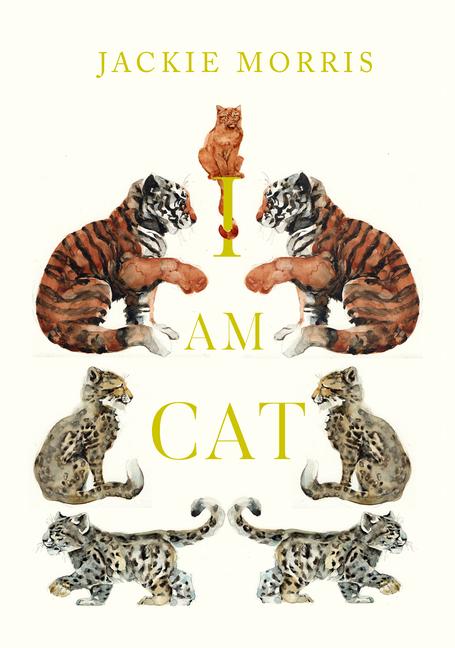 Knjiga I am Cat Jackie Morris
