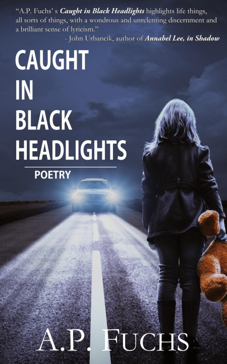 Book Caught in Black Headlights A.P. Fuchs