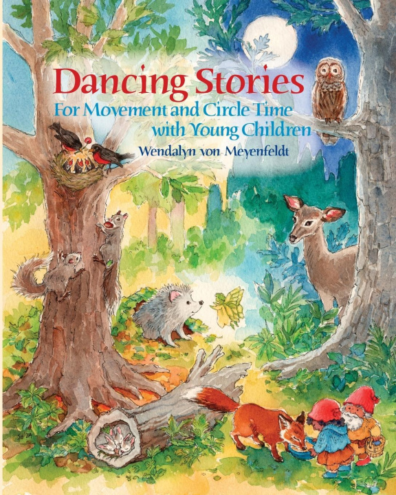 Книга Dancing Stories Wendalyn von Meyenfeldt