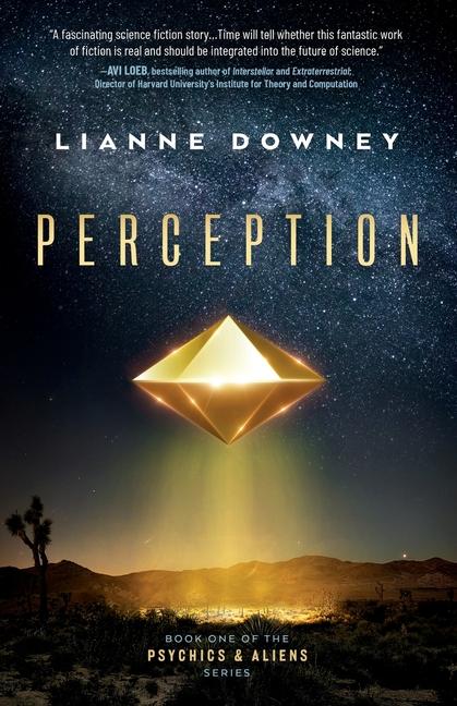Knjiga Perception Lianne Downey