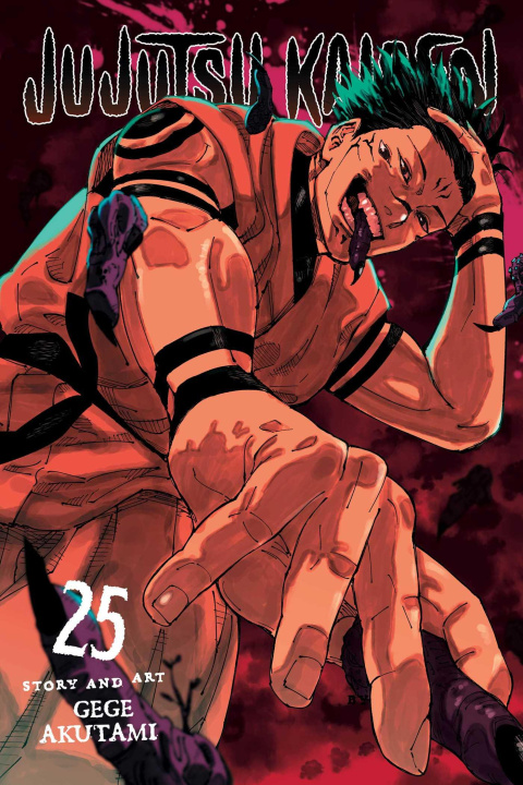 Könyv Jujutsu Kaisen, Vol. 25 Gege Akutami